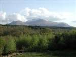 The Braes Guest House