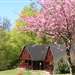 /places-to-stay/self-catering/mingarry-lodges