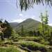 An Torr Woodland Walk with the National Trust