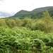 /activities/walks/river-lundie--leannachan-forest