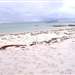 /activities/walks/silver-sands-of-morar
