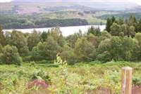 Daingean Trail, Glengarry