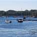 /things-to-do/walks/castle-dounie-circuit-crinan