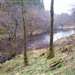 /things-to-do/walks/loch-avich-trail--dalavich