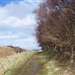 /things-to-do/walks/pulpit-hill-and-gallanach-oban